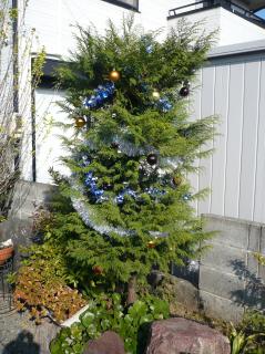 庭のクリスマスツリー