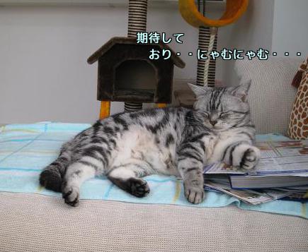 ナルトちゃん.jpg