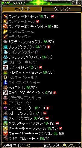 10年1月19日現在クリWIZスキル.jpg