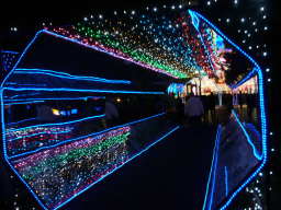 木曽三川公園　イルミネーション2010　鏡の回廊