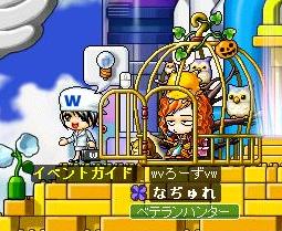 かぼちゃ５