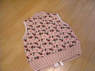 チャイルドチャンプ　ベスト110　後