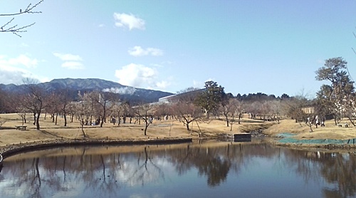 ume7