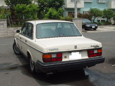 240-ボーンホワイト-2