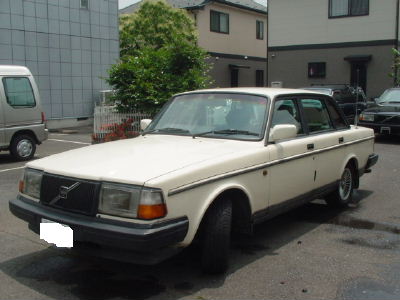 240-ボーンホワイト-3