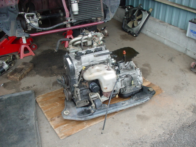 DSC03916-1.JPG