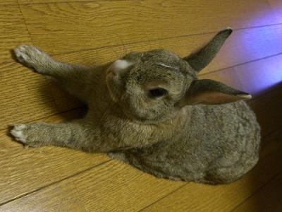 ひんやり