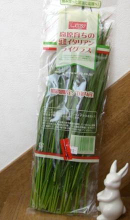 イタリアンライグラス
