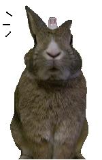 まるもーん