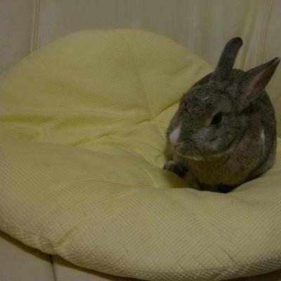 ひさしぶりに１
