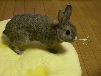 やってやった！３