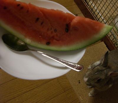 まるとスイカ