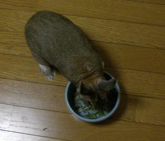 お！？