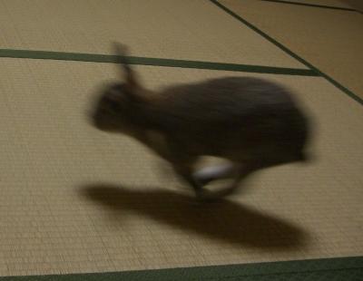 ぶひ早い