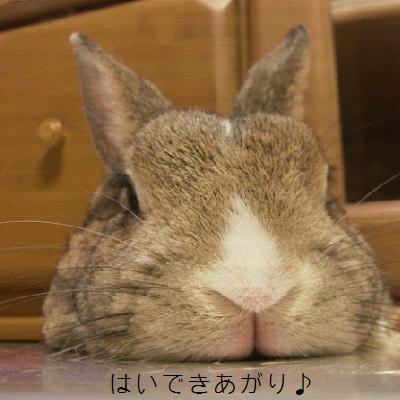 おにぎり