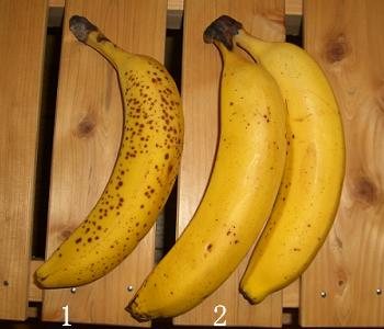 バナナ保存比較