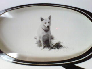 ｢めがね｣オリジナルサウンドトラック・カード抜き状態3