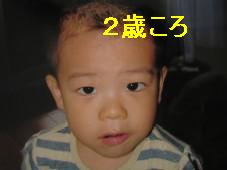 ２歳