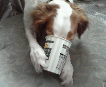 ﾖｰｸﾞﾙﾄ美味しい