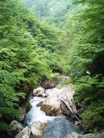 白骨温泉　川の情景