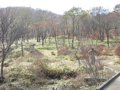 CIMG1382_t.jpg
