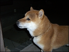 CIMG0448_t.jpg