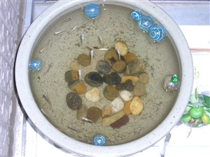 CIMG0951_t.jpg