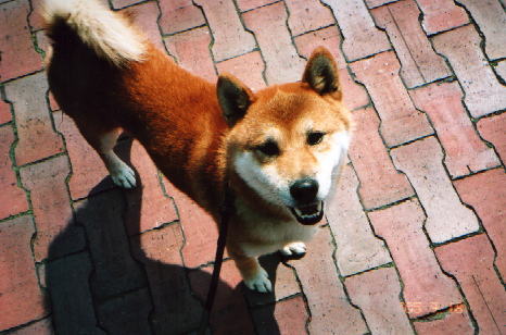 2005-09-19 18:55:06