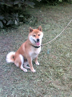 060715_1308~01.JPG