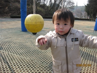 IMG_1061.jpg