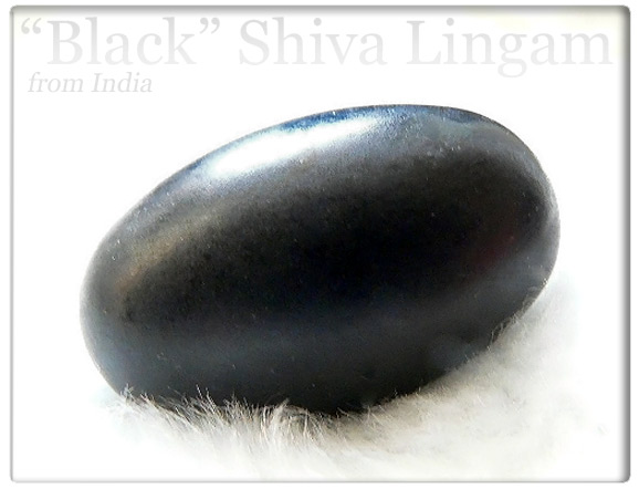 black-shiva2