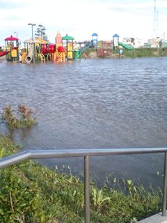 水面見えるかな～？