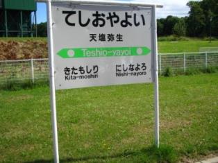 てしおやよい