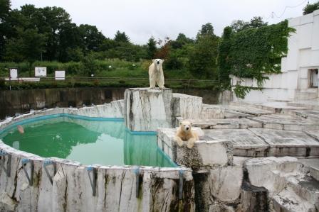 ボクとママのおうち