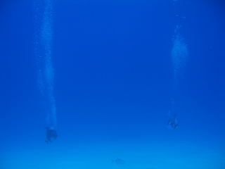 今回一番お気に入り♪