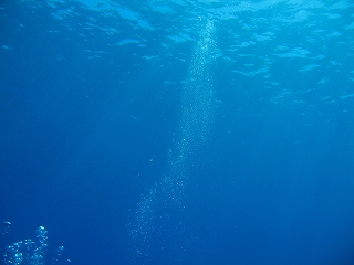 光のシャワー