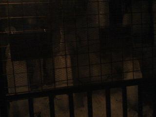 2005-08-29 12:06:51