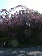 2006.1 388.jpg