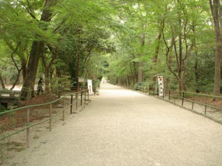 下鴨神社表参道.jpg