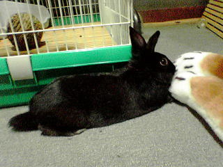 遊びつかれたぁ♪