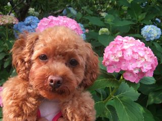 2008_0608(009)_320.JPG