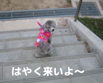 はやくこいよ