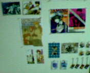 最遊記フェア開催中☆