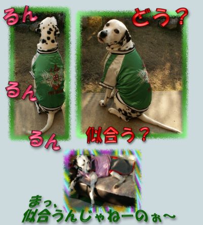 すかじゃん