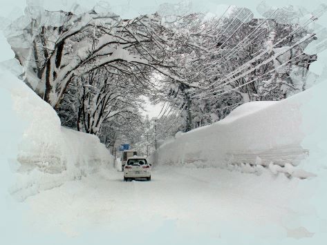 雪道