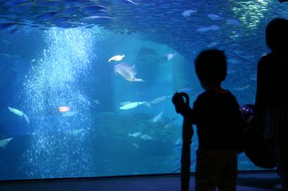 水族館