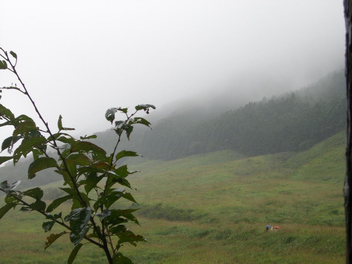 雨にもめげず.JPG