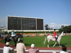 函館競馬場