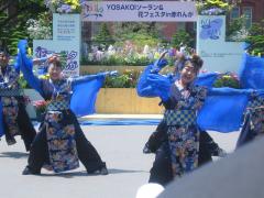 YOSAKOIソーラン祭り