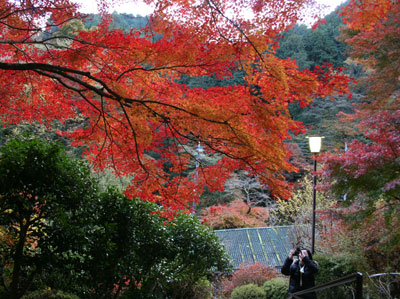 高尾山の紅葉２